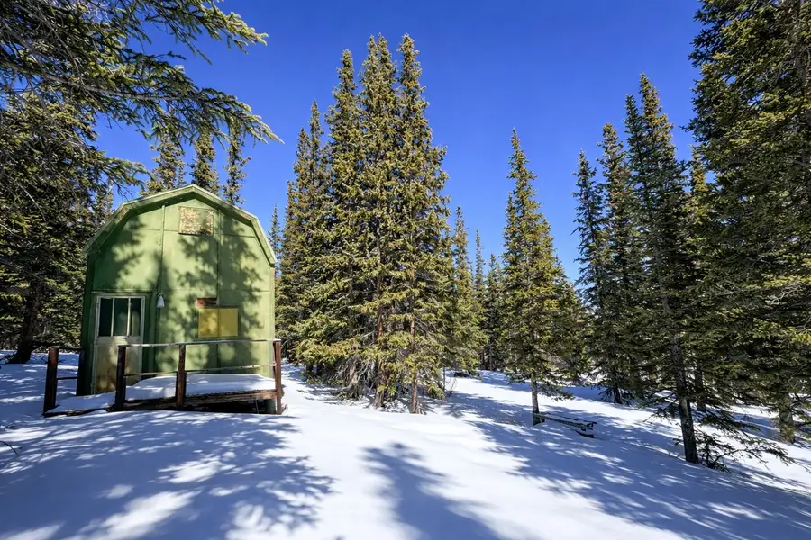 163 Prunes Place, Fairplay, CO 80440 - #3