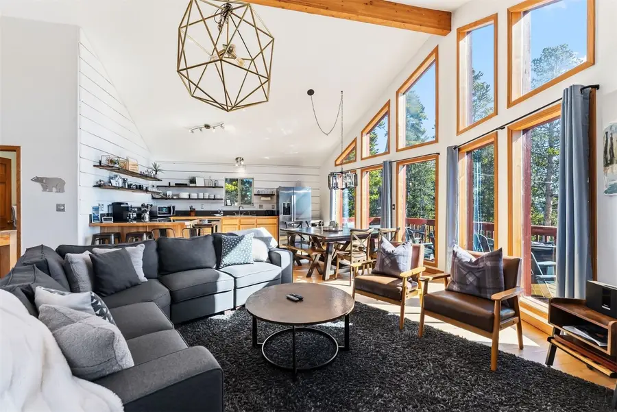 1471 Bobcat Lane, Fairplay, CO 80440 - #3