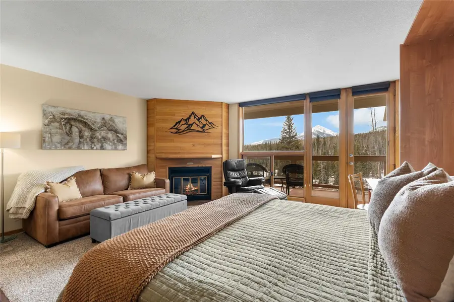 95200 Ryan Gulch Road #95213, Silverthorne, CO 80498 - #2