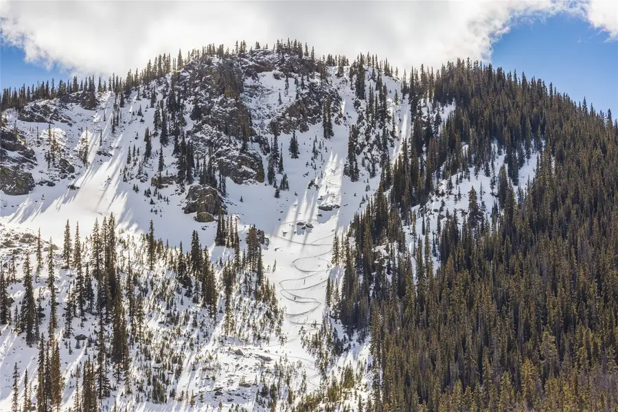 5355 Montezuma Road, Montezuma, CO 80435 - #2