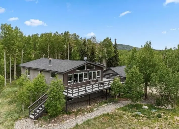 133 Gold Run Road, Alma, CO 80440 - #1