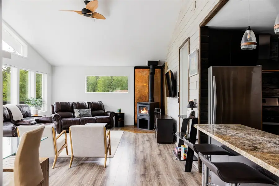 133 Gold Run Road, Alma, CO 80440 - #3