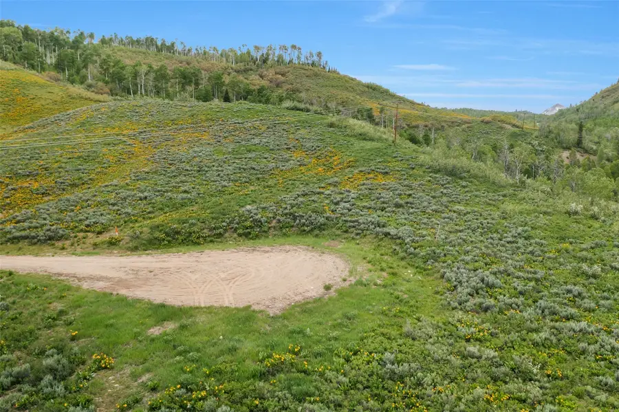 56250 Myrtle Court, Clark, CO 80428 - #2