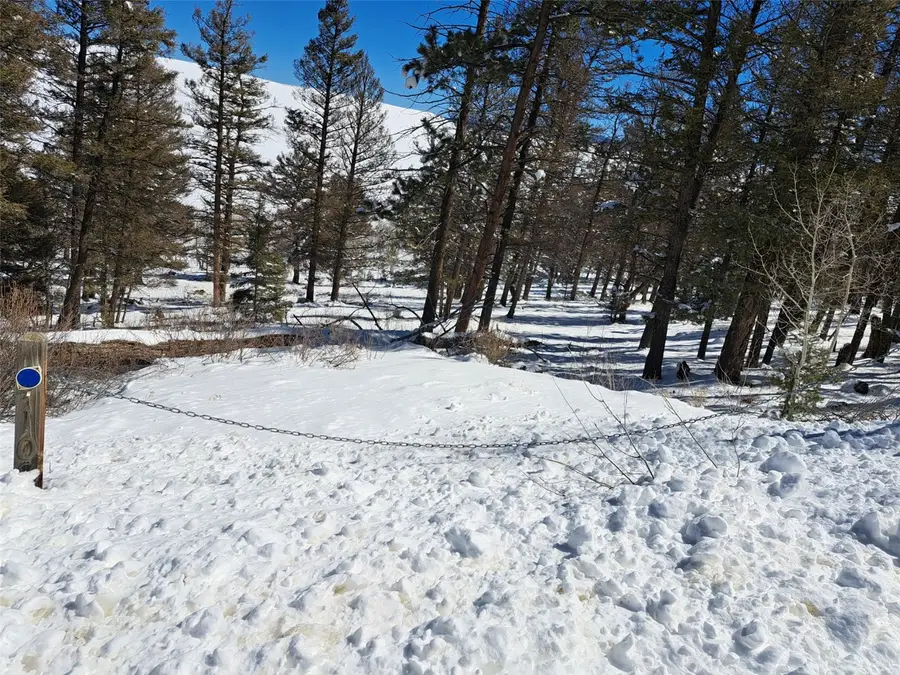 00 Redhill Road, Fairplay, CO 80440 - #2