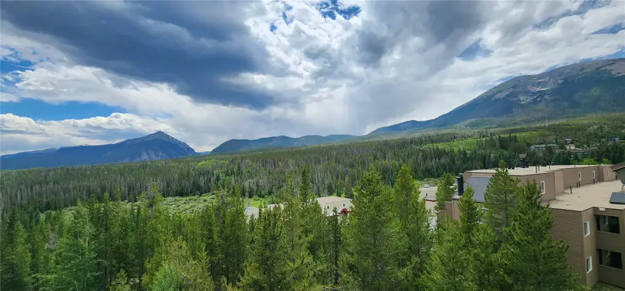 9490 Ryan Gulch Road #94202, Silverthorne, CO 80498 - #2