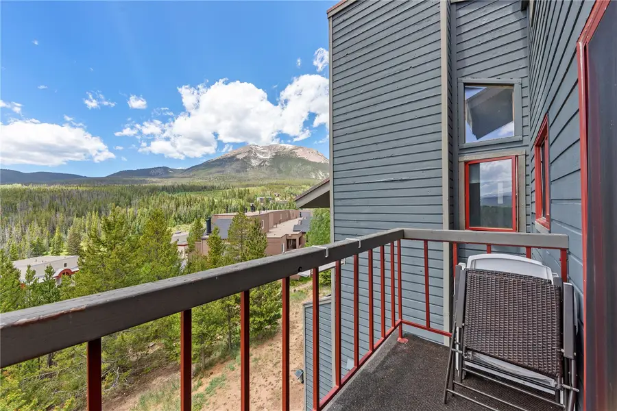 9490 Ryan Gulch Road #94202, Silverthorne, CO 80498 - #3