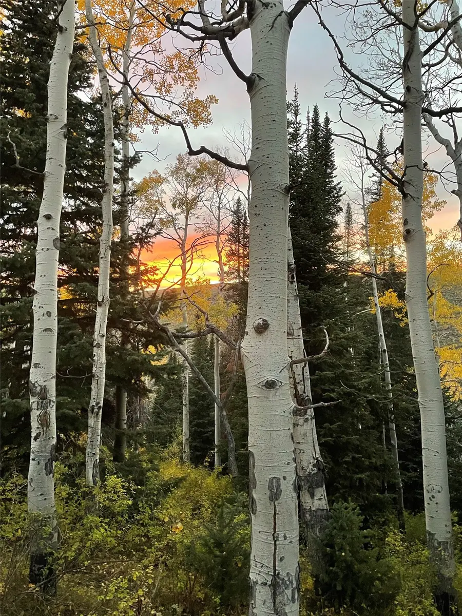 57640 County Road 129, Clark, CO 80428 - #3