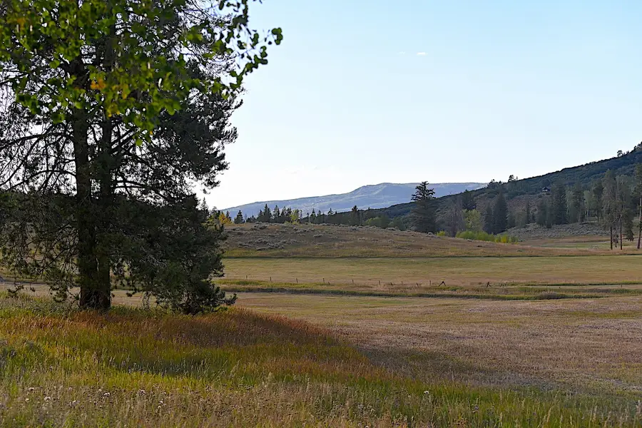 33170 Wenatchi Trail, Oak Creek, CO 80467 - #3