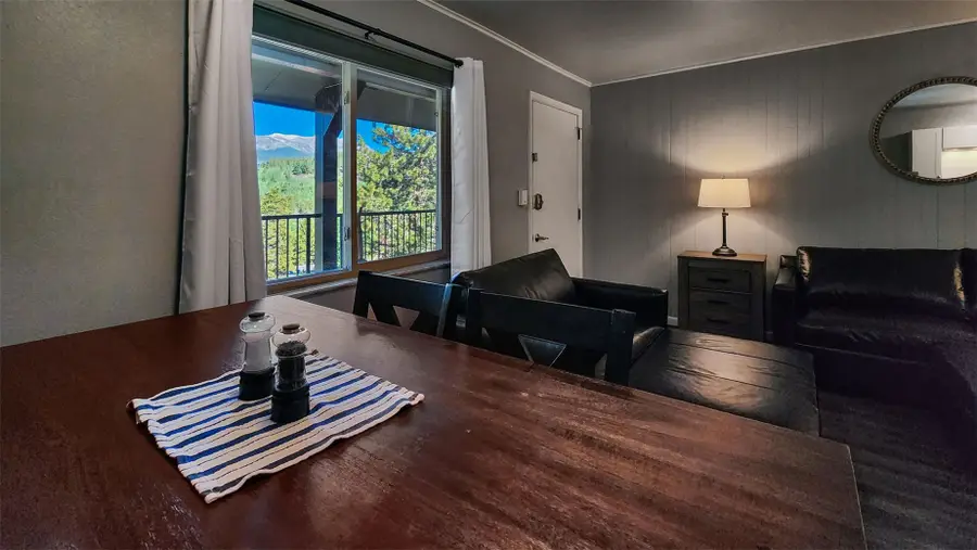 301 N French Street #305, Breckenridge, CO 80424 - #2