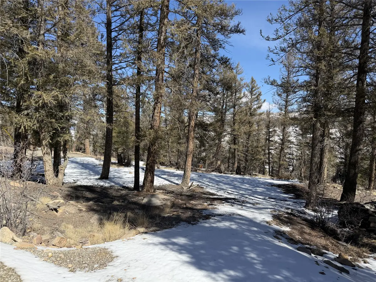 806 Middle Fork, Fairplay, CO 80440 - #1