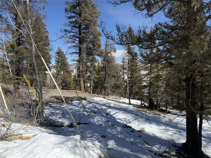806 Middle Fork, Fairplay, CO 80440 - #2