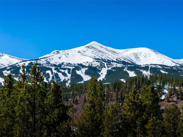 309 Royal Tiger Road, Breckenridge, CO 80424