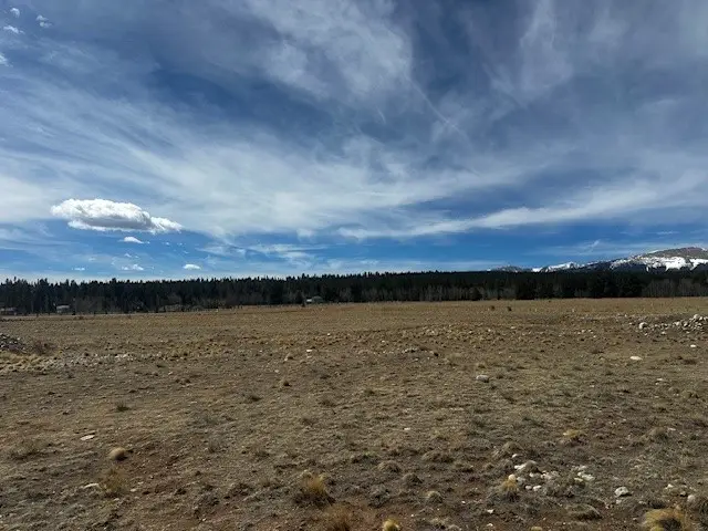 TBD Stone Creek, Fairplay, CO 80440 - #2