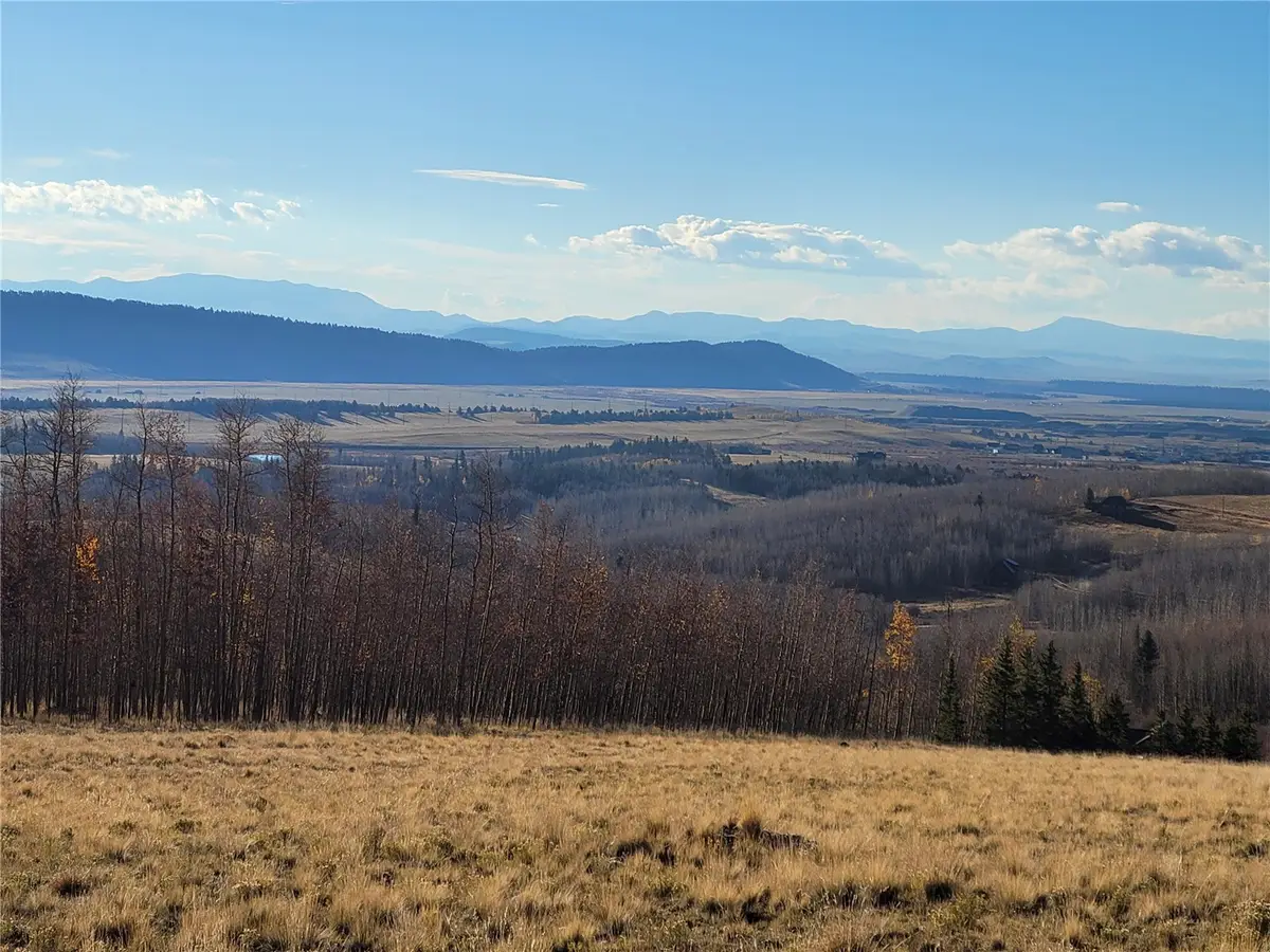 918 Little Baldy Circle, Fairplay, CO 80440 - #1