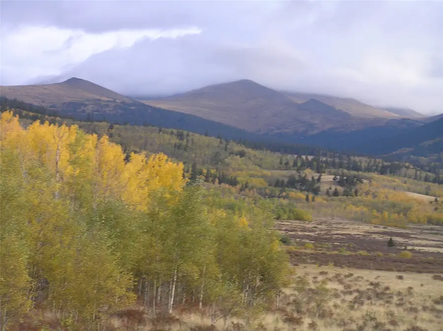 918 Little Baldy Circle, Fairplay, CO 80440 - #2