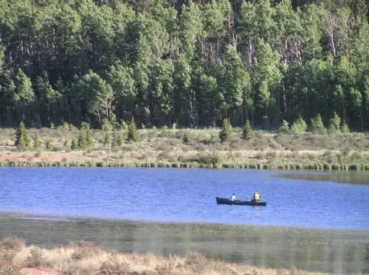 918 Little Baldy Circle, Fairplay, CO 80440 - #3