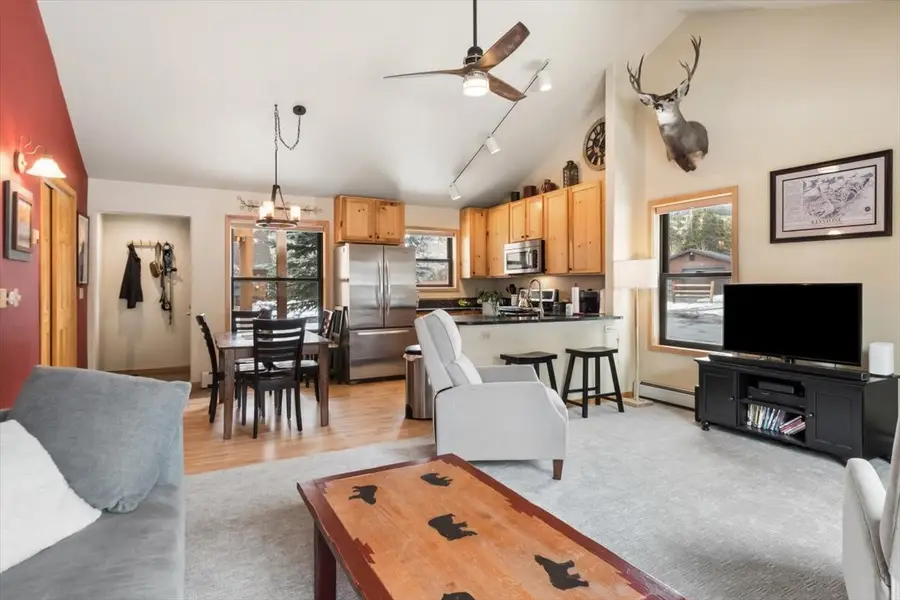 111 Norse Lane #32, Dillon, CO 80435 - #2