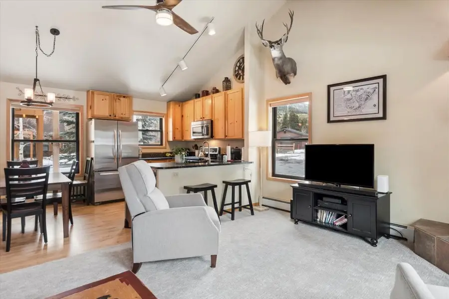 111 Norse Lane #32, Dillon, CO 80435 - #3