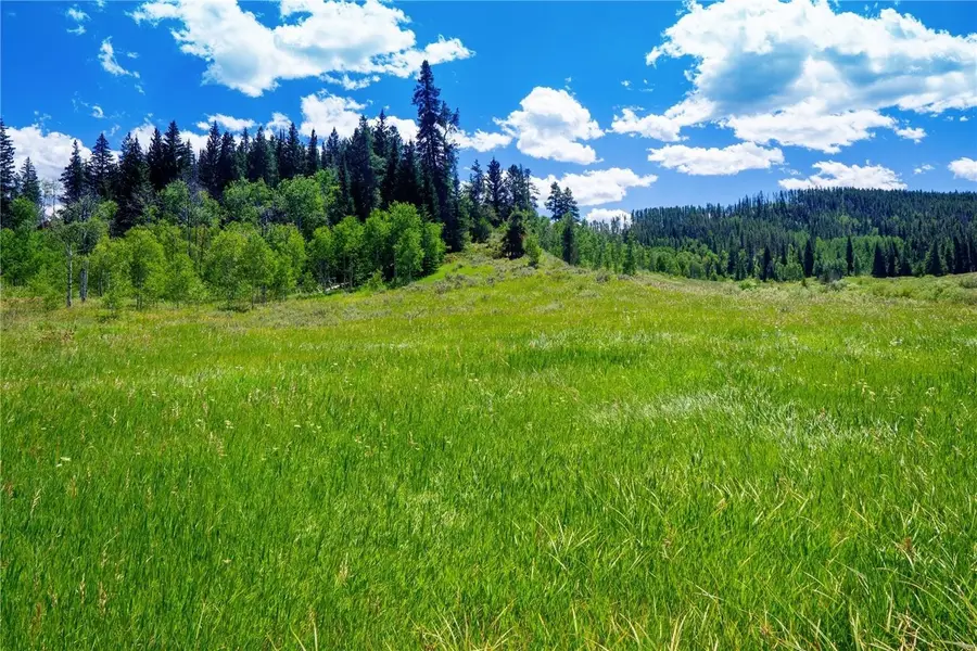 32548 Ute Trail, Oak Creek, CO 80467 - #2