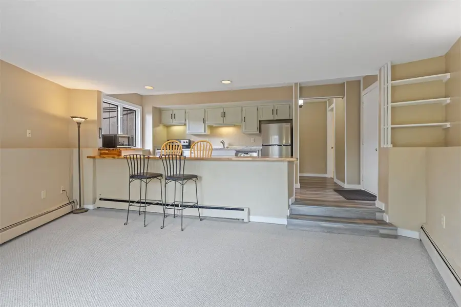 1127 Ski Hill Road #94, Breckenridge, CO 80424 - #3