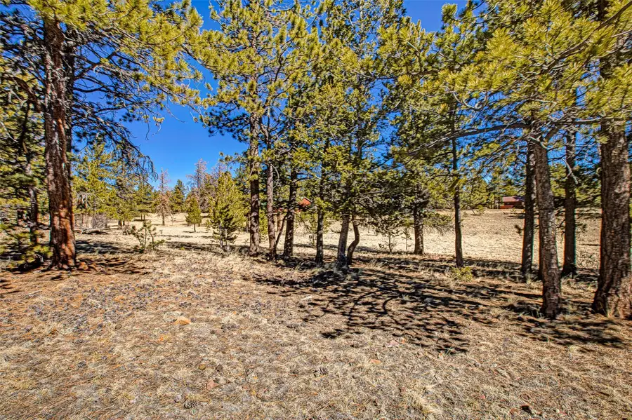 2226 Pitchfork Road, Hartsel, CO 80449 - #2