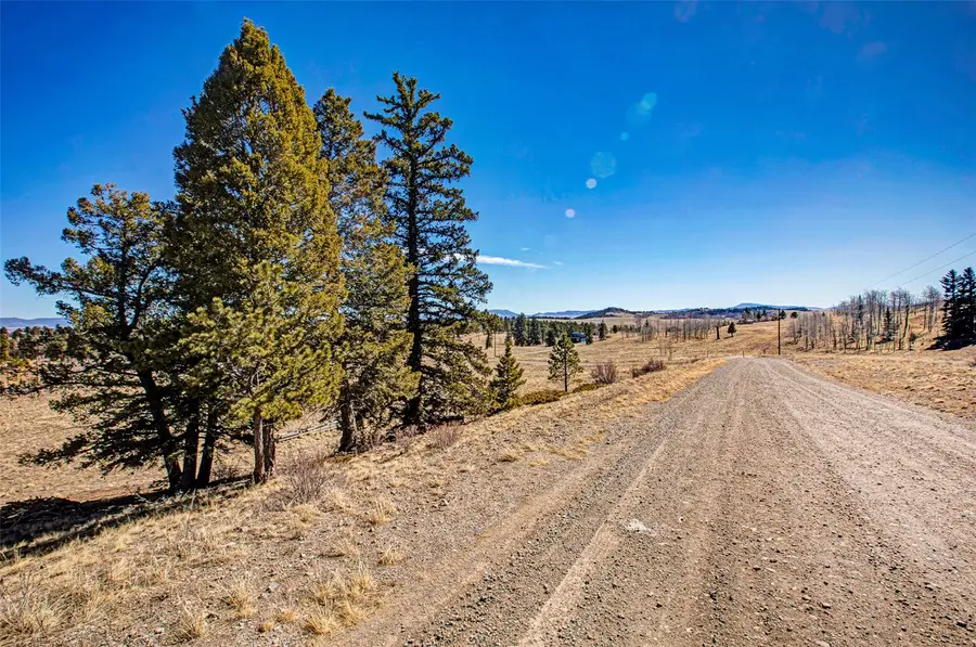 2226 Pitchfork Road, Hartsel, CO 80449 - #3