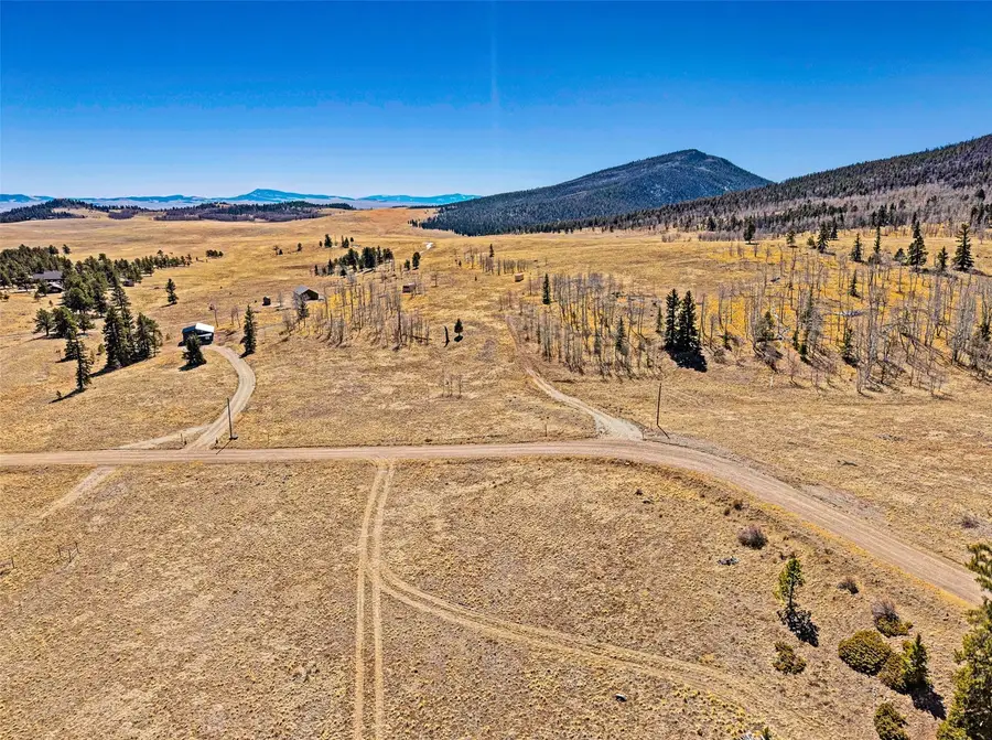 1250 Kaufman Road, Hartsel, CO 80449 - #3