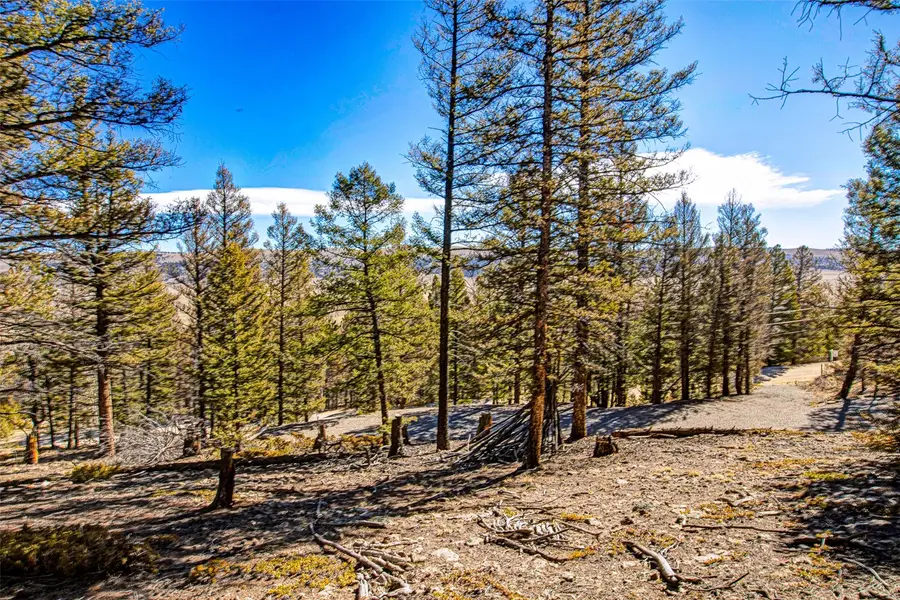 2623 Redhill Road, Fairplay, CO 80440 - #3
