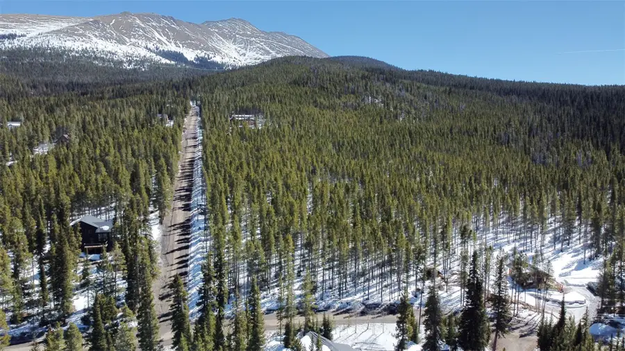 0118 Cr 535, Breckenridge, CO 80424 - #3