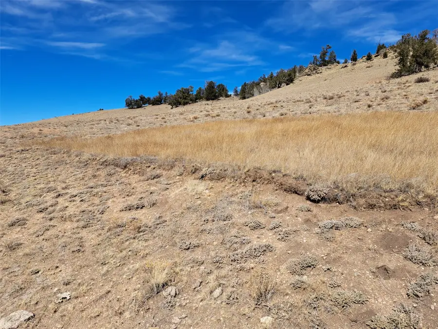 3646 Remington Road, Como, CO 80432 - #2