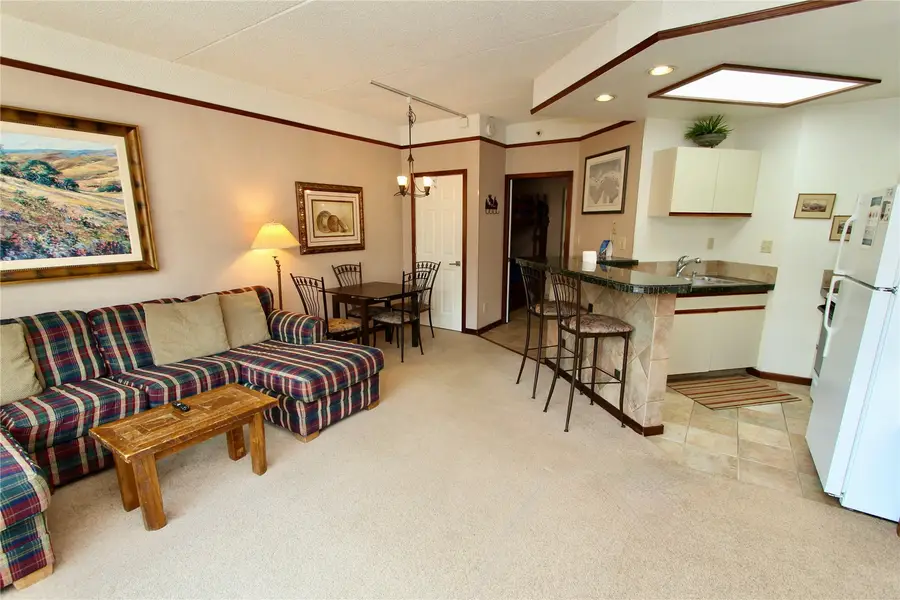 45 Beeler Place #314, Frisco, CO 80443 - #2