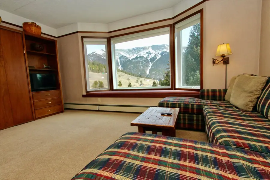 45 Beeler Place #314, Frisco, CO 80443 - #3