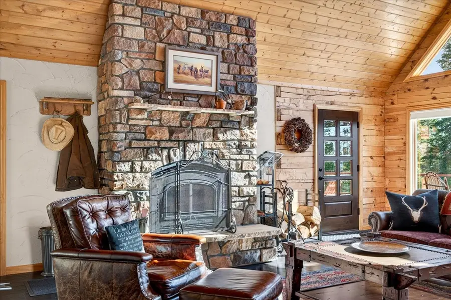 103 Prunes Place, Fairplay, CO 80440 - #3