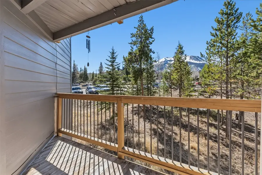 8500 Ryan Gulch Road #206, Silverthorne, CO 80498 - #3