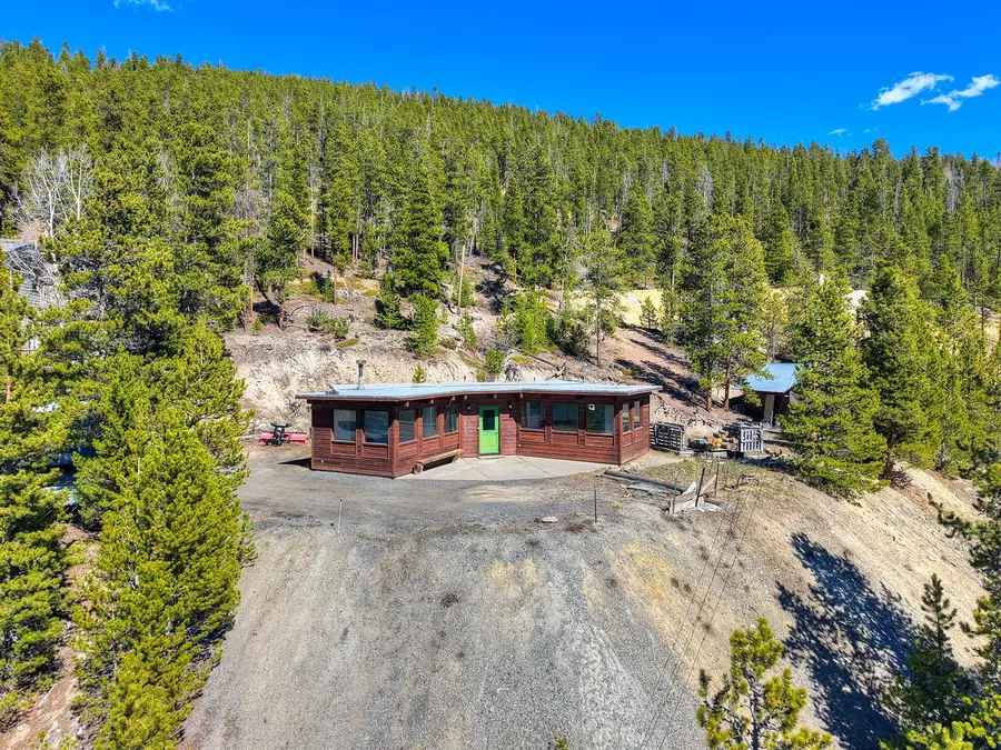 0363 Cr 452, Breckenridge, CO 80424 - #3