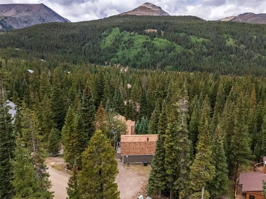 291 Doris Drive, Breckenridge, CO 80424 - #2