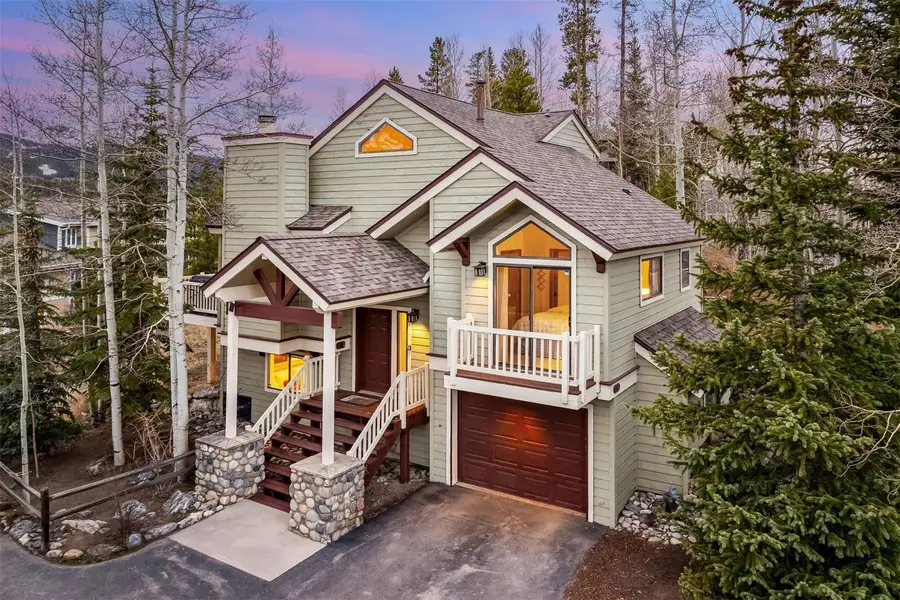 113 Powder Ridge Drive, Breckenridge, CO 80424 - #2