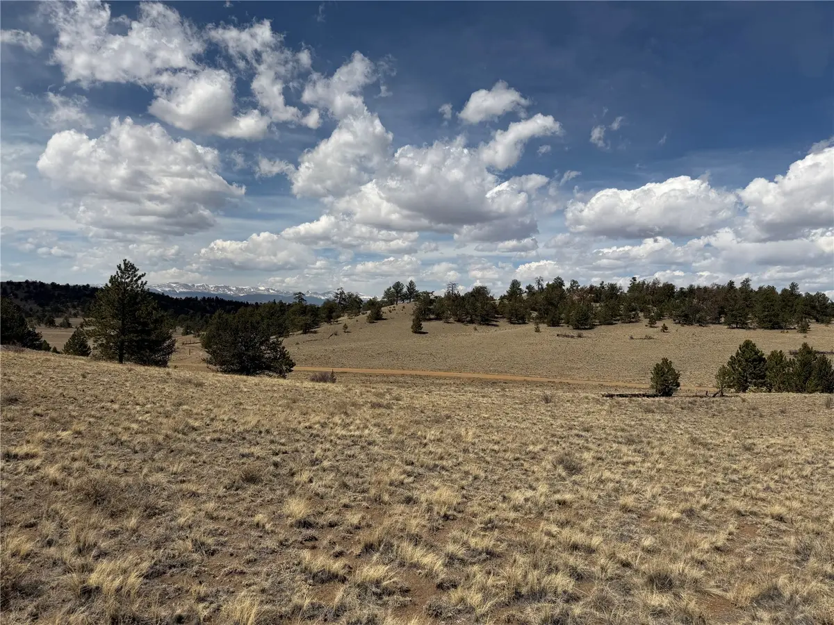 2839 Fitzsimmons Road, Hartsel, CO 80449 - #1