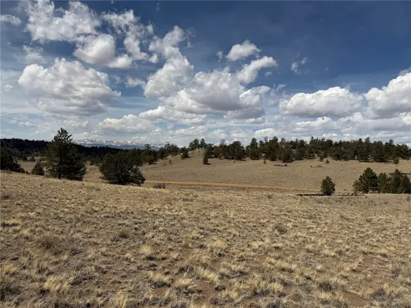 2839 Fitzsimmons Road, Hartsel, CO 80449