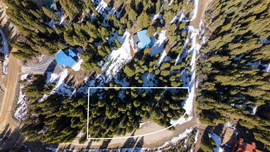 697 Cr 674, Breckenridge, CO 80424 - #3