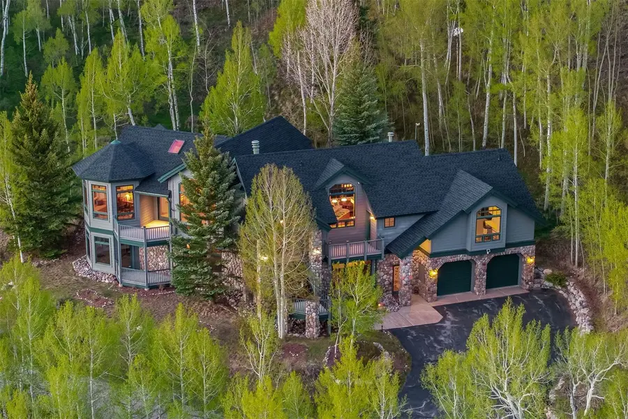 15 Harvest Moon Trail, Silverthorne, CO 80498 - #2