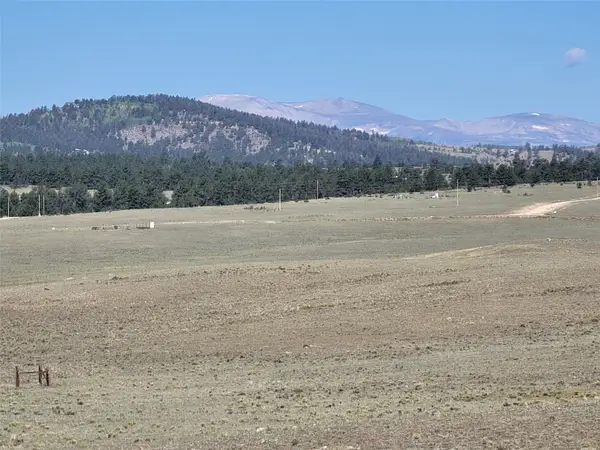 1071 Yellowstone Road, Hartsel, CO 80449