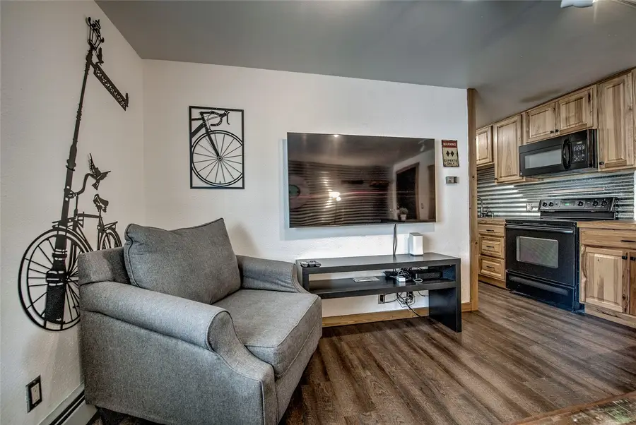 214 S Harris Street #106, Breckenridge, CO 80424 - #3