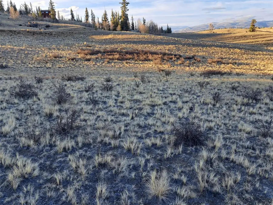 513 War Lane, Como, CO 80432 - #3