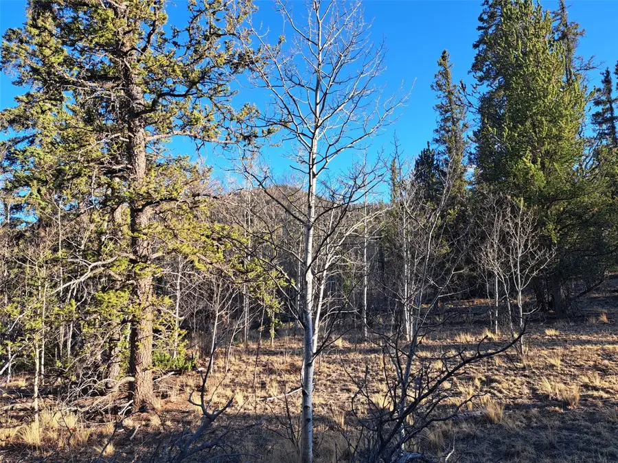 1645 Chippewa Road, Como, CO 80432 - #3