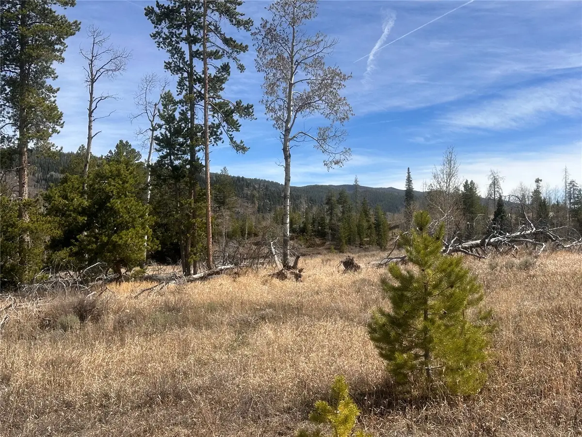 23910 Fargo Way, Oak Creek, CO 80467 - #1