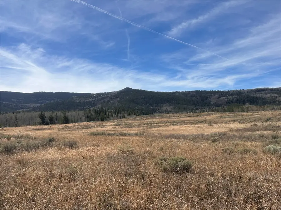 23910 Fargo Way, Oak Creek, CO 80467 - #2