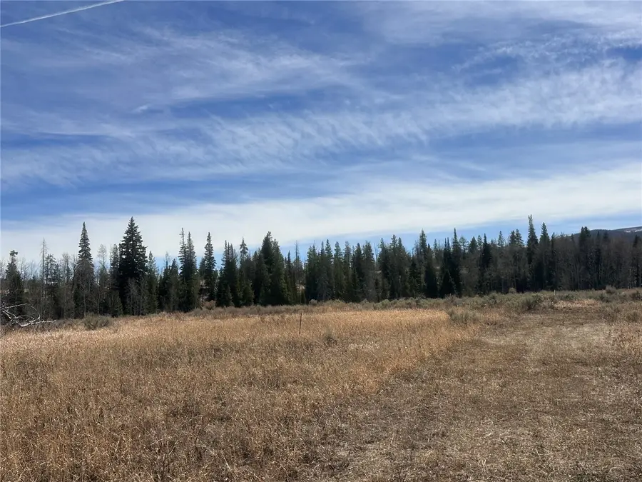 23910 Fargo Way, Oak Creek, CO 80467 - #3