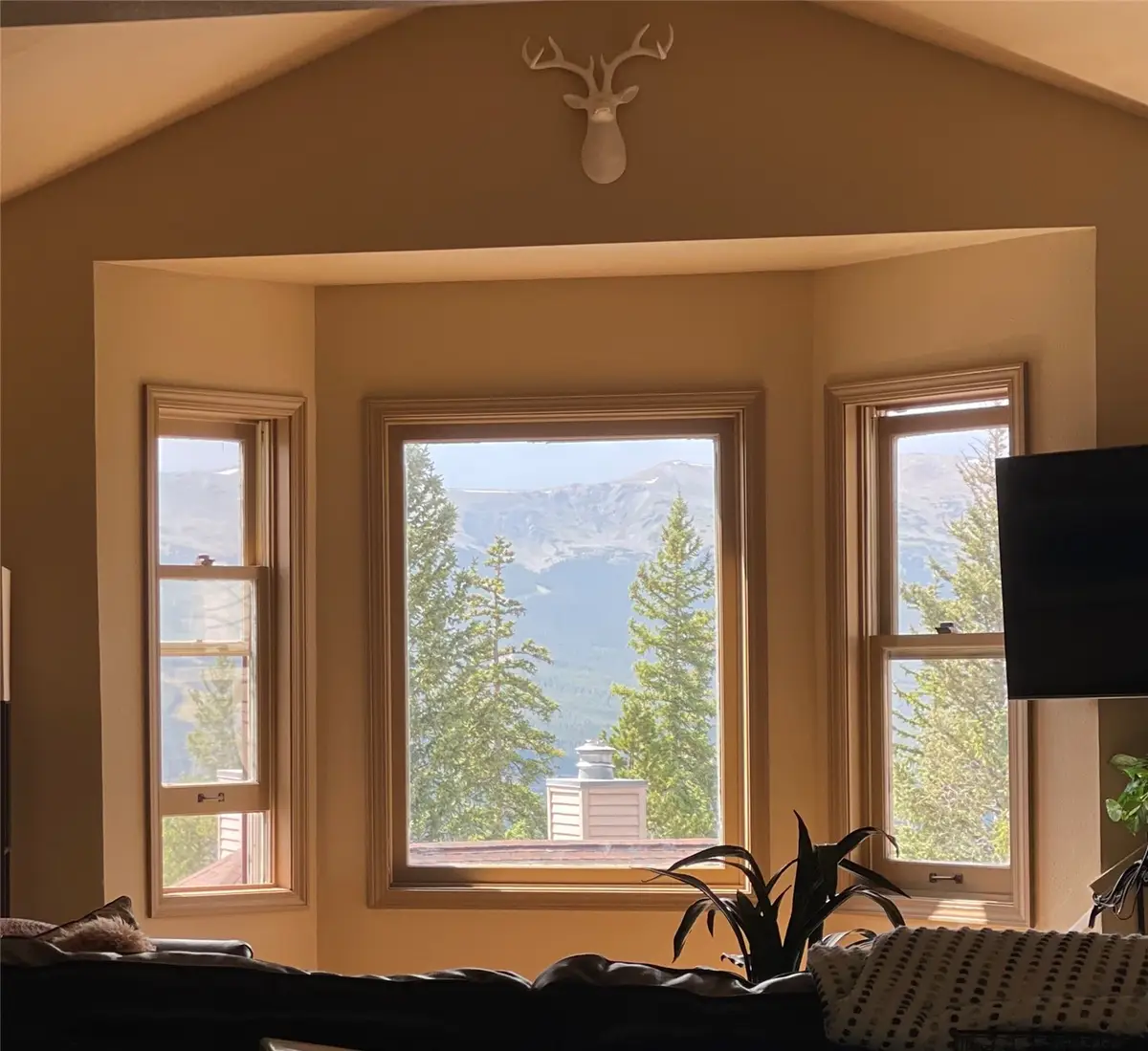 1120 Baldy Road #1120, Breckenridge, CO 80424 - #1