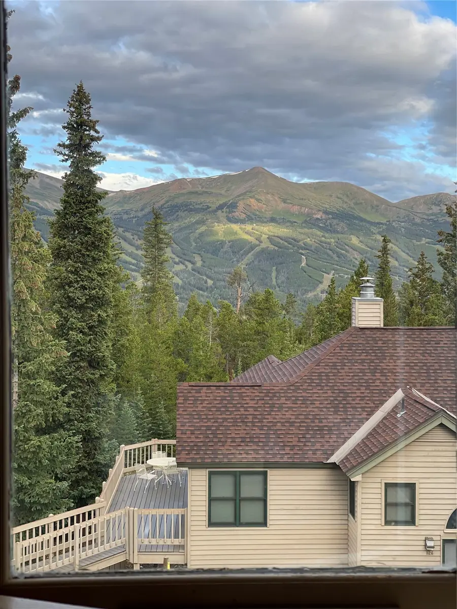 1120 Baldy Road #1120, Breckenridge, CO 80424 - #2
